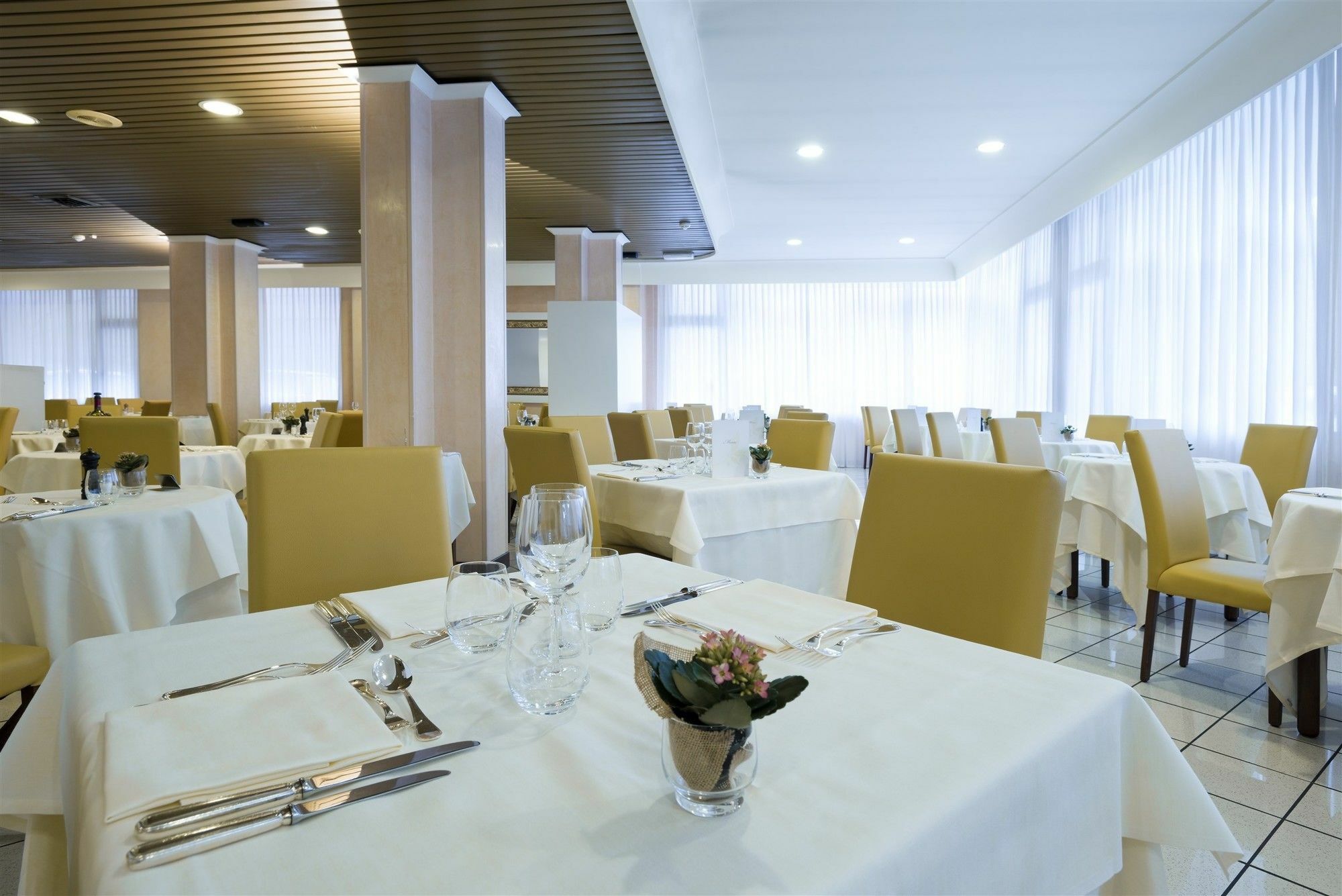Hotel Terme Olympia Montegrotto Terme Esterno foto